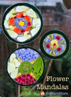 three circular stained glass flowers on display in a window sill with the words flower mandals written below them