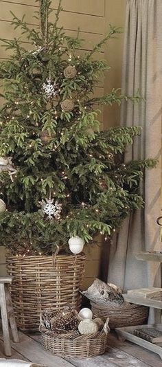 a small christmas tree in a wicker basket on a wooden floor next to a window