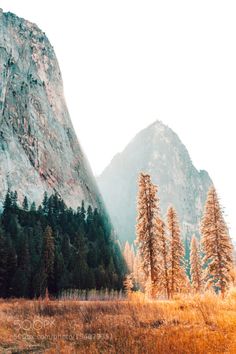 the mountains are covered with trees and grass in the foreground is an empty field