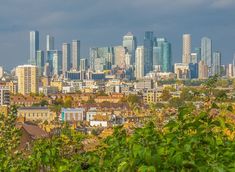 the city is full of tall buildings and skyscrapers as seen from across the trees