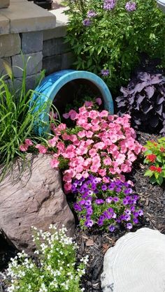 the garden is full of colorful flowers and rocks