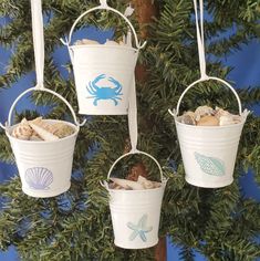 four buckets hanging from a tree with seashells and starfish on them