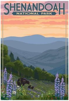 the blue ridge parkway poster is shown in front of mountains and wildflowers