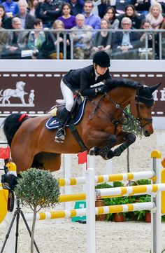 a person on a horse jumping over an obstacle in front of a crowd with spectators