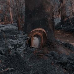 an old outhouse in the woods near a tree