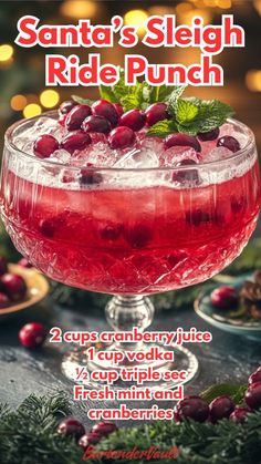 santa's sleigh ride punch recipe