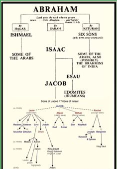 a diagram with the names of different types of people in each language, and an image of