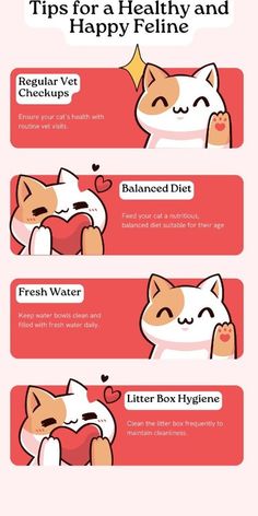 an info sheet showing how to use the cat's teeth for dental care and hygiene