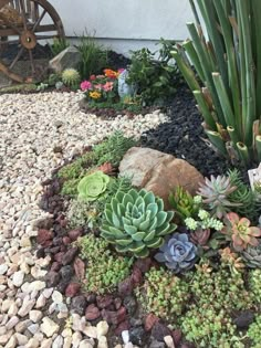 an assortment of succulents and rocks in front of a house with a wheel