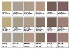 the pantone paint color chart for all types of furniture and decorating items, including brown