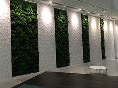 a living wall with plants growing on it in a lobby area at an office building