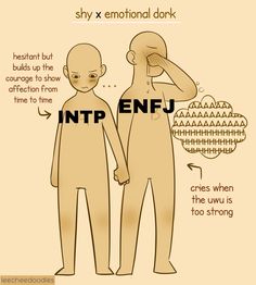 Entj Relationships, Mbti Functions, Entp And Intj, Enfj Personality, Enfp Relationships, Infj Mbti