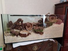 a fish tank filled with lots of different types of rocks and trees in sand next to a dresser