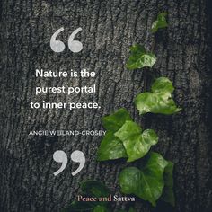 Nature is the purest portal to inner peace. - ANGIE WEILAND -CROSBY Natural Healing Quotes, Nature Lover Quotes, Silent Quotes, Magic Quotes, Quotes About Love And Relationships, Happiness Quotes, Good Morning Inspirational Quotes, Very Inspirational Quotes