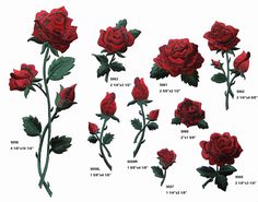 a bunch of red roses that are on a white background with words written below them