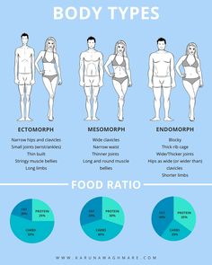 Foods For Endomorph, Ectomorph Endomorph Mesomorph, Endomorph Macros Women, Food For Endomorph Body Type, Ectomorph Diet Plan, Sports Body Types, Endomorph Foods To Eat, Mesomorph Outfits, Beyond Body Diet