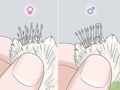 two images showing how to brush your hair