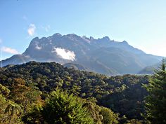 the mountains are covered with trees and clouds