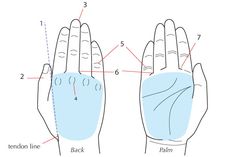 an image of the palm position and how to put it on someone's hand