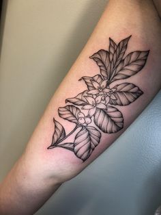 Coffee Cherry Tattoo, Coffee Bean Plant Tattoo, Coffee Flower Tattoo, Coffee Plant Tattoo, Coffee Tattoo Ideas, Butterfly With Flowers Tattoo, Coffee Plants