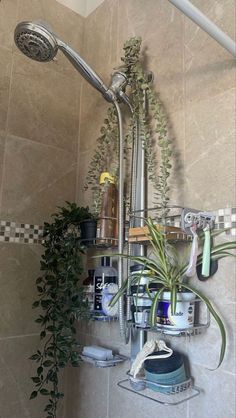 a shower head with plants growing on it