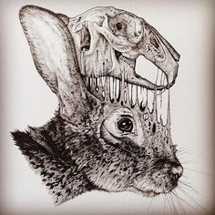 a drawing of a rabbit with a skeleton in it's mouth and an animal skull on its back