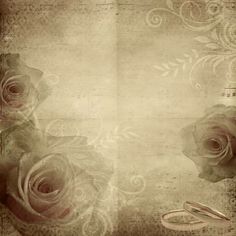 an old paper with roses and two wedding rings on it stock photo - 138798