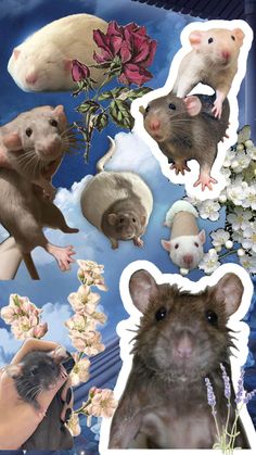 some stickers that are on the side of a wall with pictures of mice and flowers