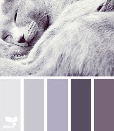 a cat sleeping on top of a blanket next to color swatches in shades of gray