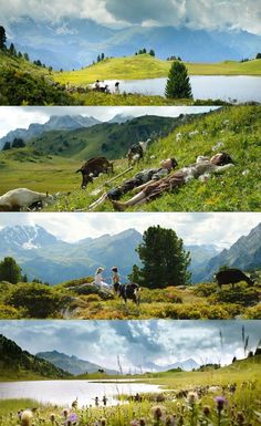 three pictures of people riding horses on a grassy hill with mountains in the background and clouds in the sky