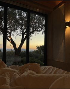 a bed sitting under a window next to a tree in the middle of a room