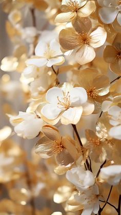 some white and gold flowers on a branch