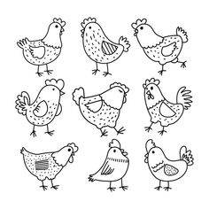 chickens and hens are drawn in black ink on a white background, each with different colors