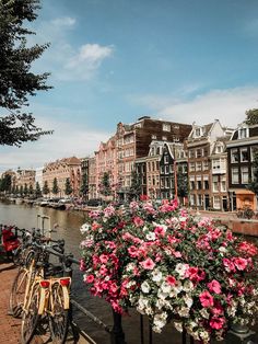 several bicycles parked on the side of a river next to buildings and flowers in front of them