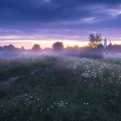 a foggy field with trees and buildings in the distance