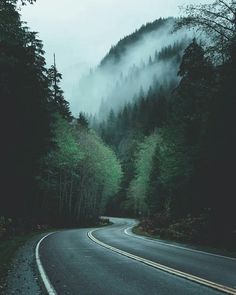 an empty road in the middle of a forest with fog on the mountains behind it