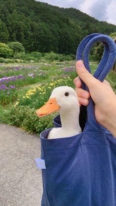 a person holding a duck in a blue bag