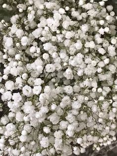 a bunch of white flowers sitting on top of a table