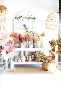 a room filled with lots of plants and vases on top of a white table