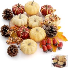 a bunch of fake pumpkins and pine cones on a white background with autumn decorations