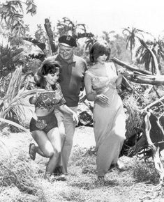 two women and a man in bathing suits are walking through the desert with palm trees behind them