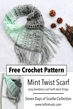 the free crochet pattern for a scarf with fringes and pineconis