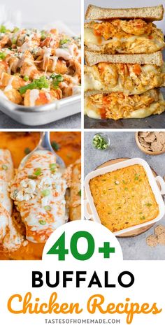 the top ten buffalo chicken recipes