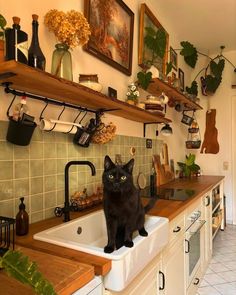 a black cat sitting on top of a white sink in a kitchen next to shelves