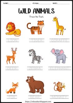 wild animals worksheet for kids