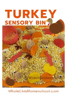 a turkey and other birds made out of bird seed with the words turkey sensory bin