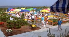 many people are walking around with umbrellas in the background