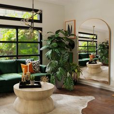 a living room filled with green couches and potted plants