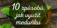 10 využití meduňky Herb Tea, Edible Flowers, Health Advice, Herb Garden, Beauty Blog, Drink Sleeves, Workout Food, Food Inspiration, A Table