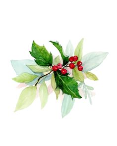 watercolor painting of holly with red berries and green leaves